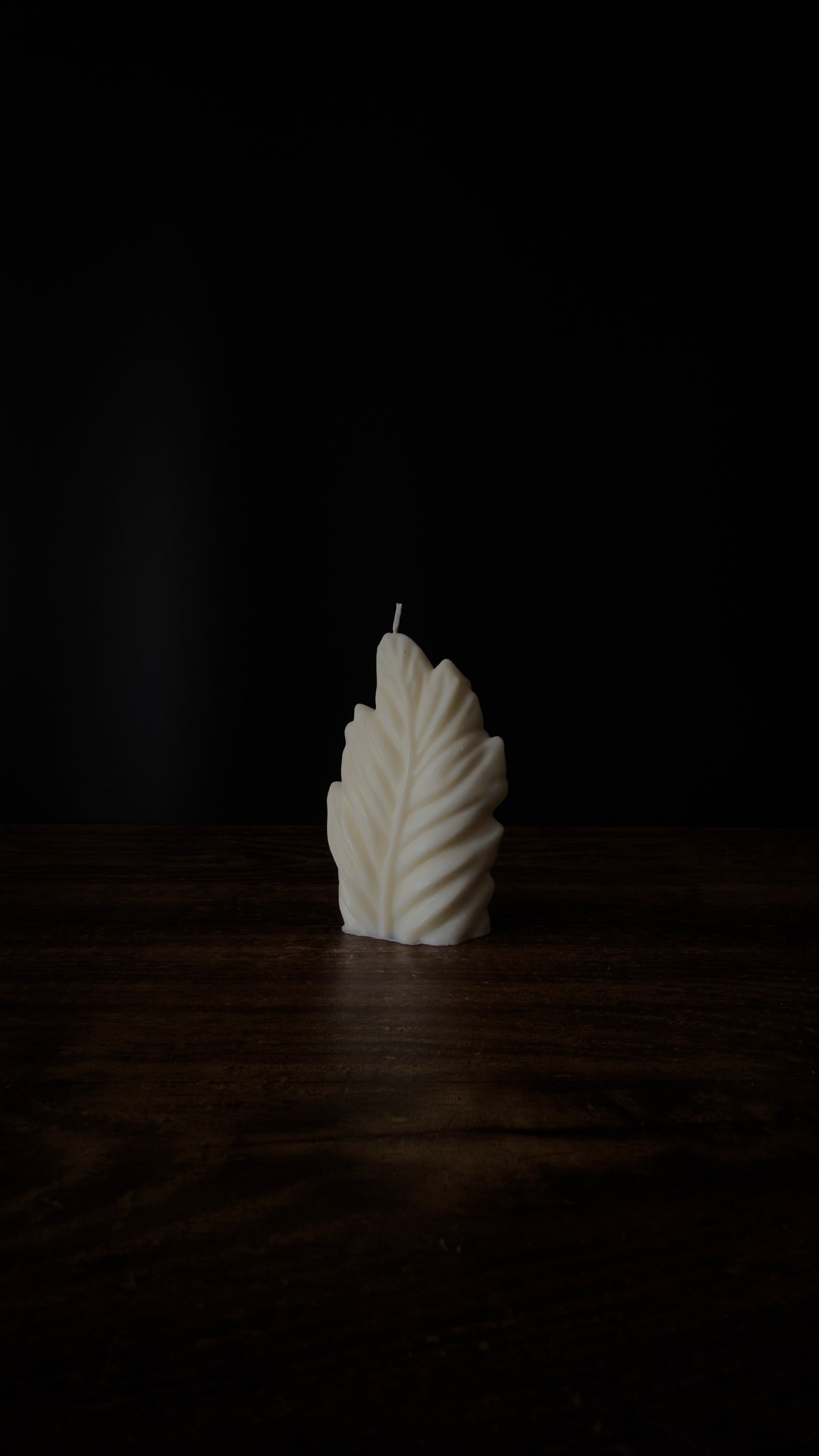 CORAL LEAF Kerze