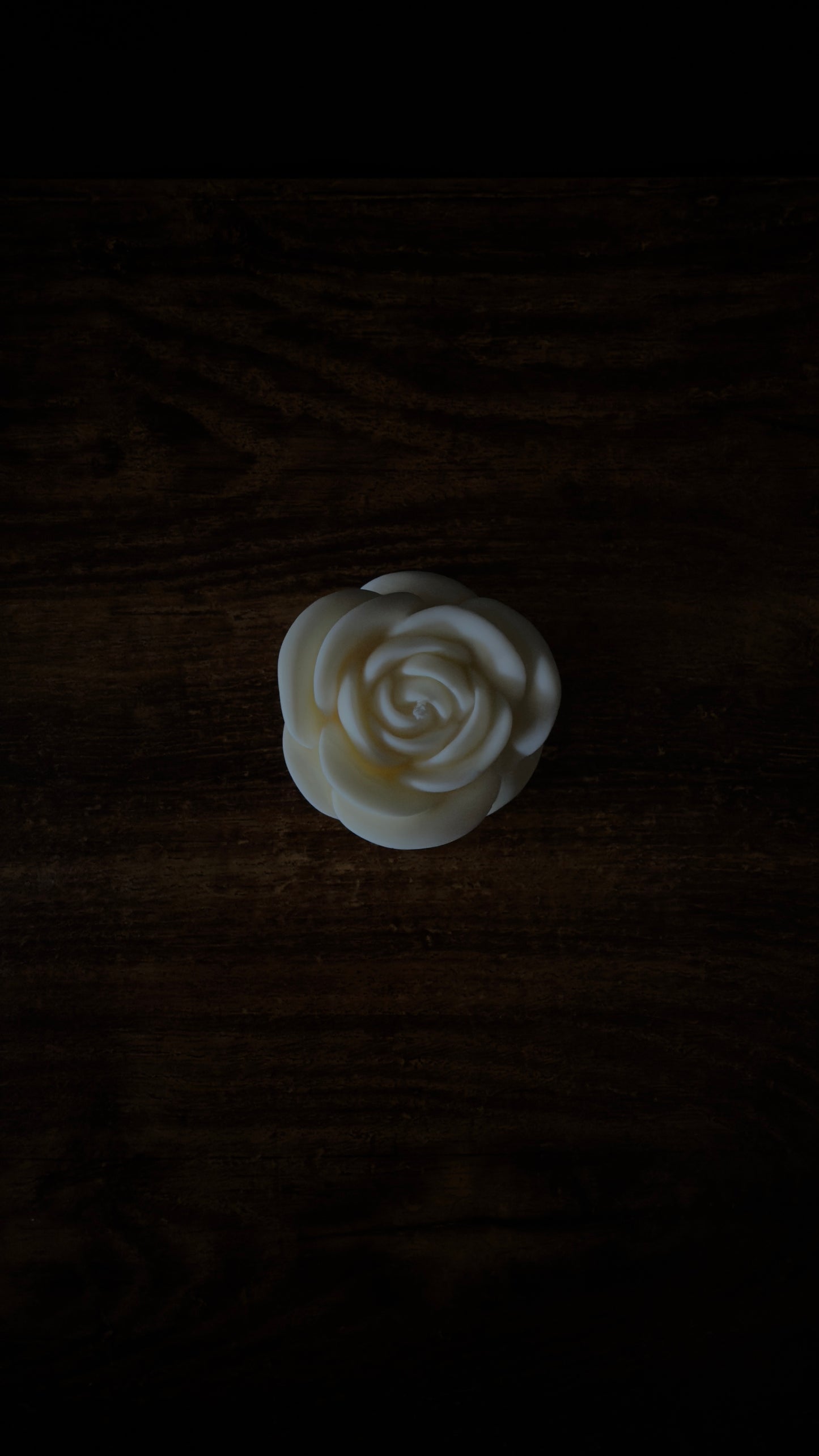 ROSE Kerze