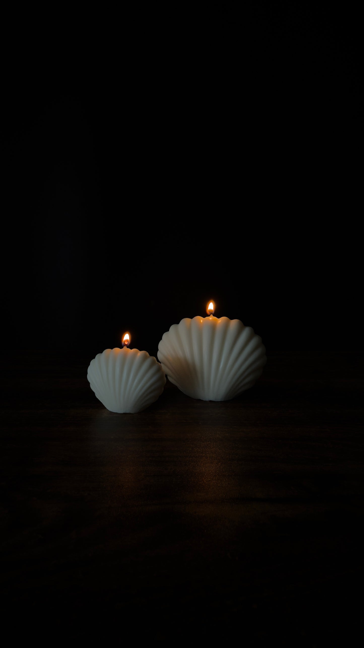 OCEAN SHELL Kerze