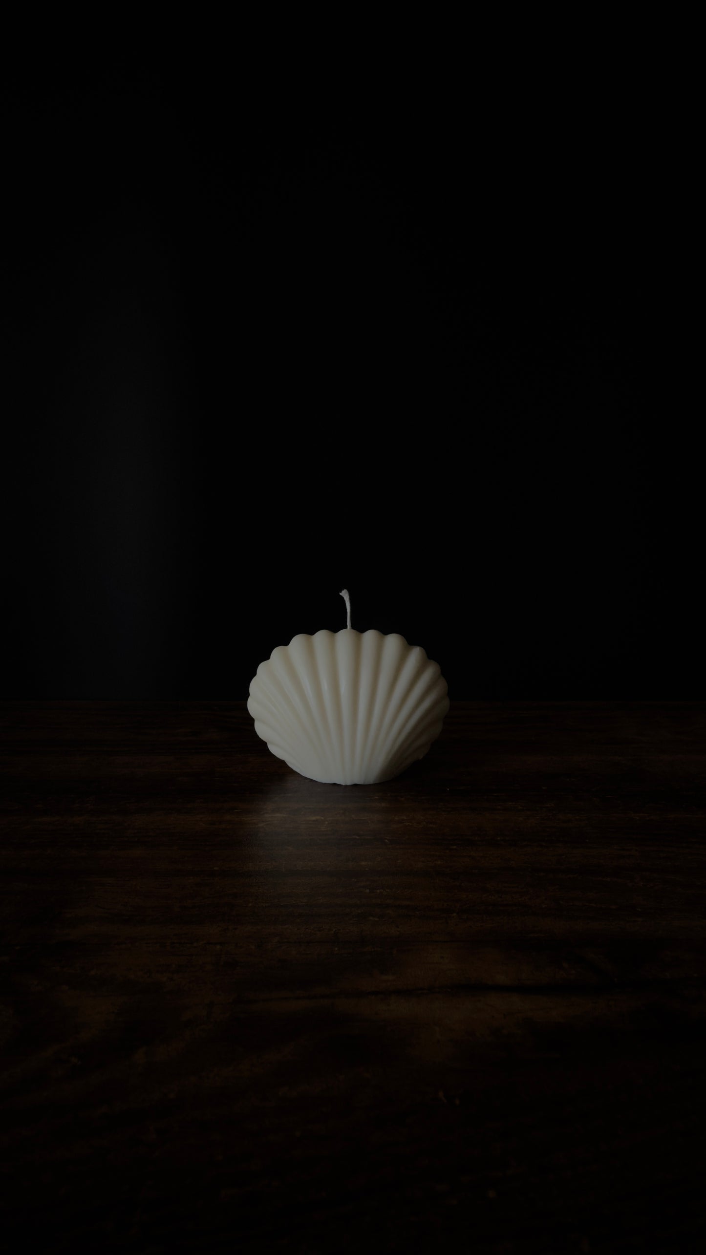OCEAN SHELL Kerze