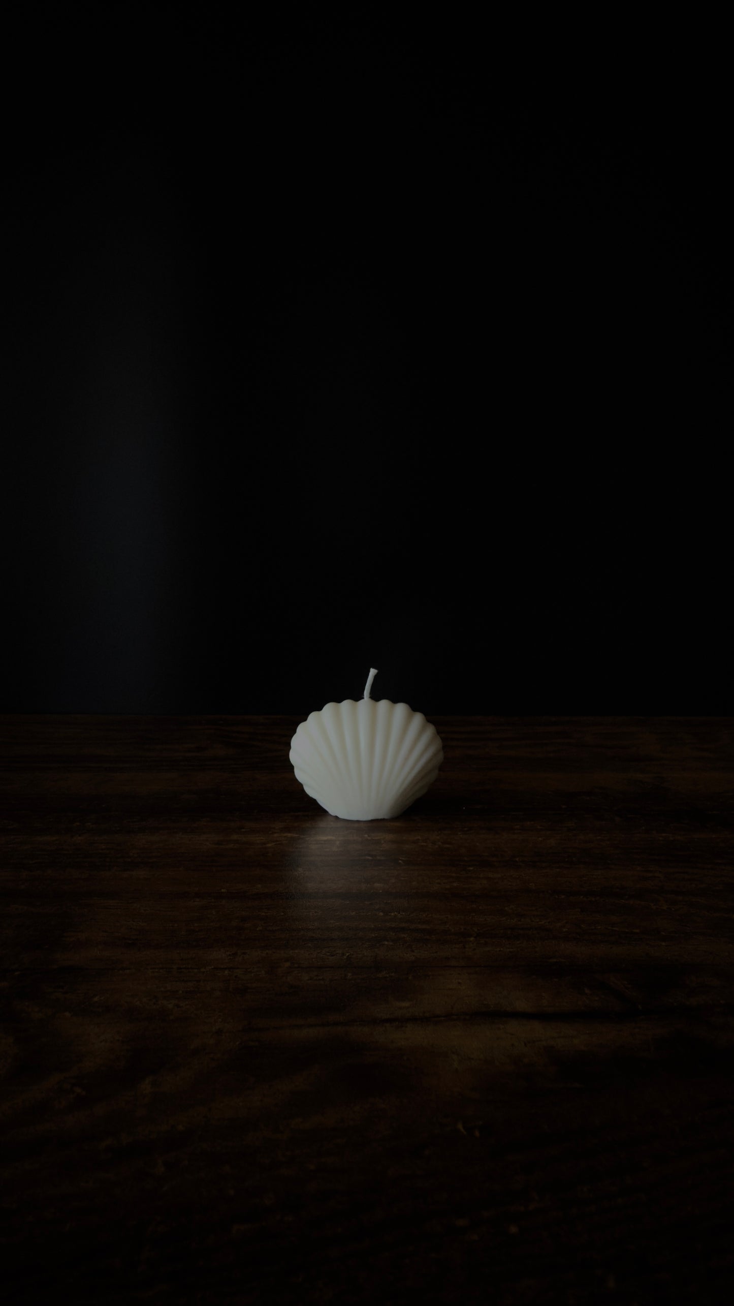OCEAN SHELL Kerze