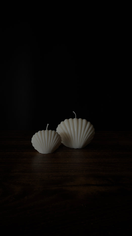 OCEAN SHELL Kerze